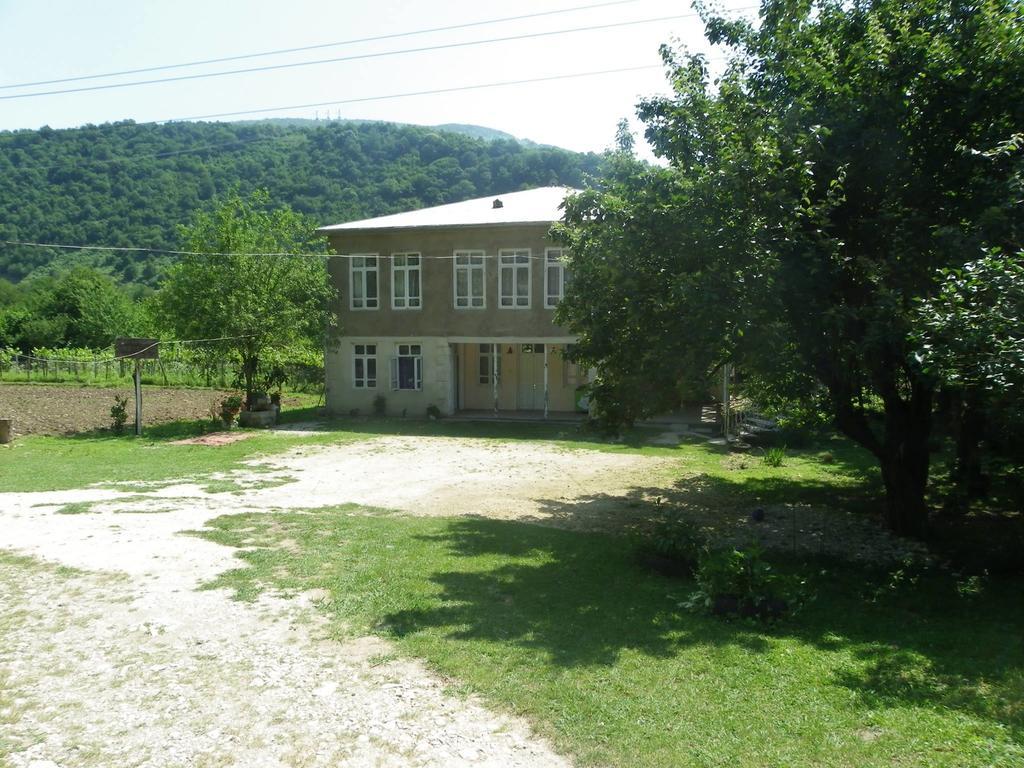 Tamuna Guest House Мартвили Екстериор снимка